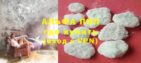 прущие грибы Абаза