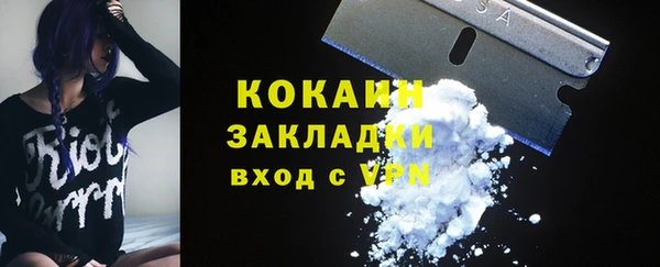 прущие грибы Абаза