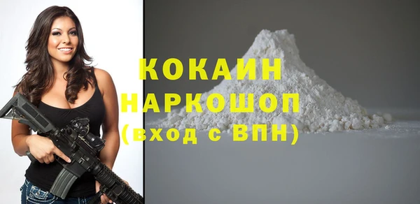 прущие грибы Абаза