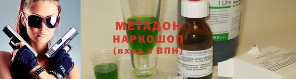 прущие грибы Абаза