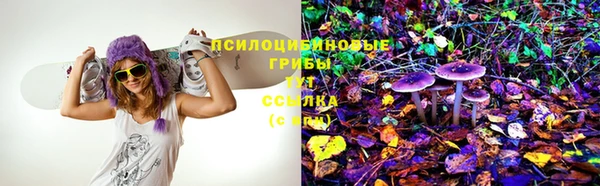 индика Абдулино